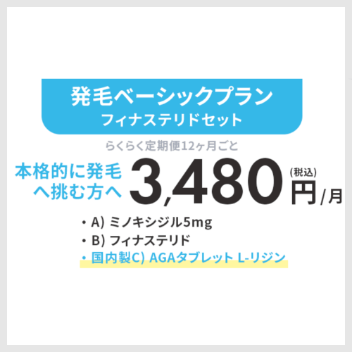 発毛ベーシックプラン<br>フィナステリドセット
